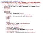 xml.jpg