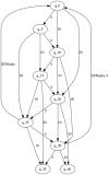 graph2.png