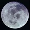 images/avatars/avatar-34.jpg